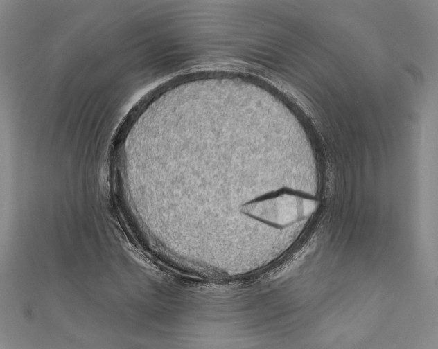 X0000110950830200907171627