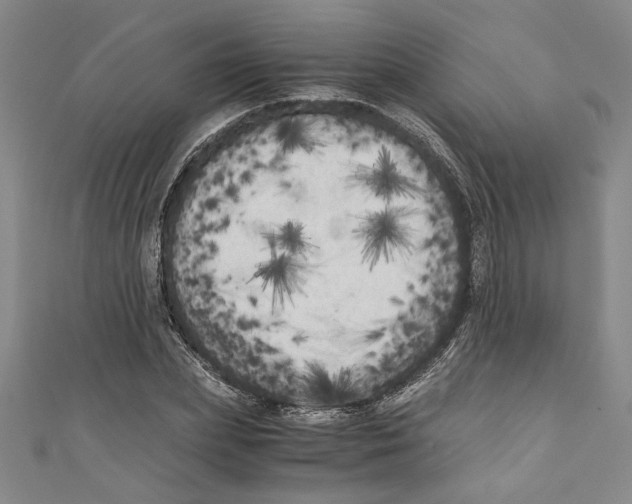 X0000110950831200907171627