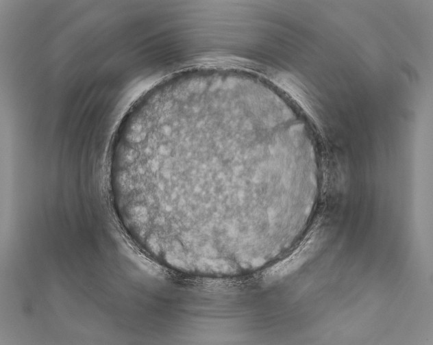 X0000110950832200907171627