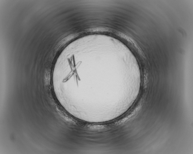 X0000110950833200907171627