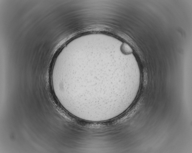 X0000110950834200907171627