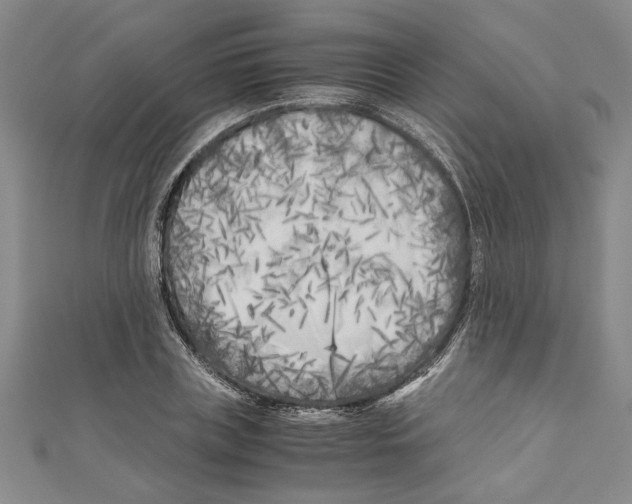 X0000110950835200907171627