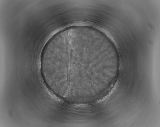X0000110950837200907171627