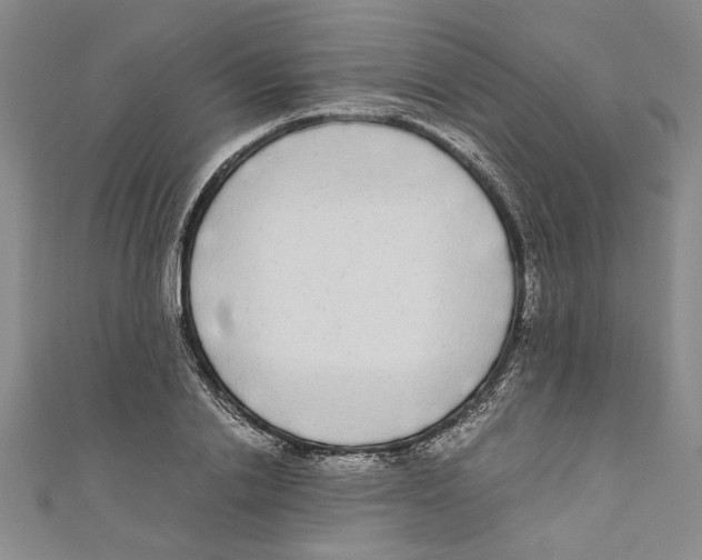 X0000110950838200907171627