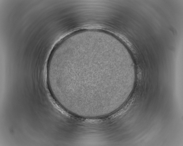 X0000110950840200907171627