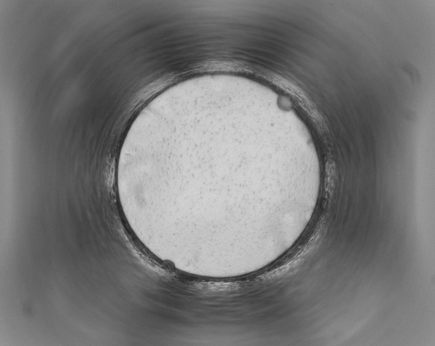 X0000110950841200907171627