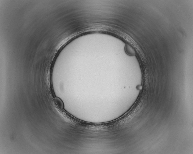 X0000110950842200907171627