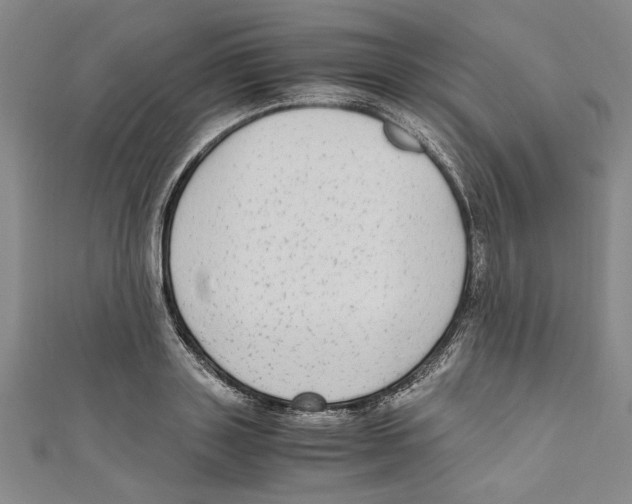 X0000110950843200907171627