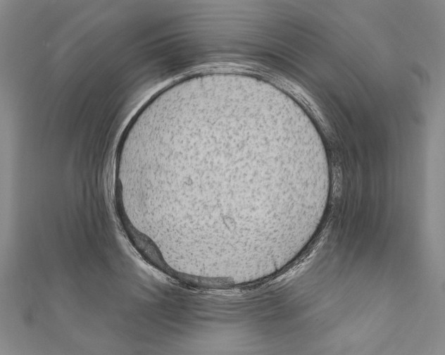 X0000110950844200907171627