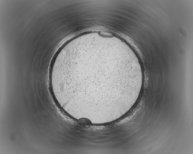 X0000110950845200907171627