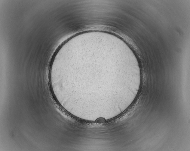 X0000110950846200907171627