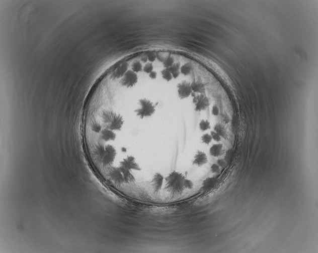 X0000110950847200907171627