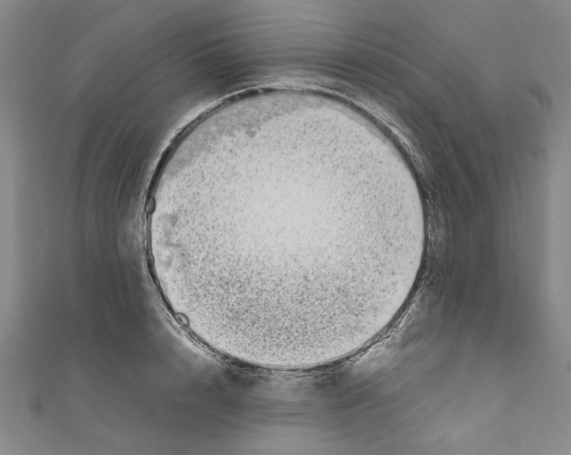 X0000110950848200907171627