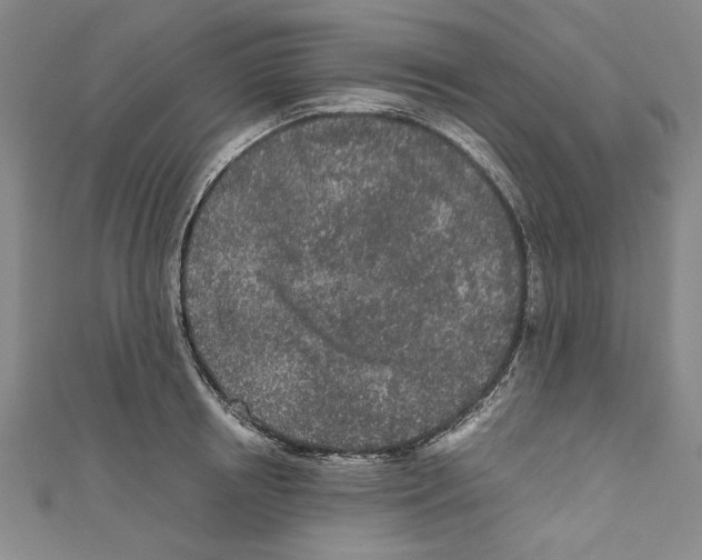 X0000110950850200907171627