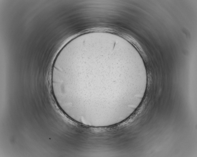 X0000110950852200907171627