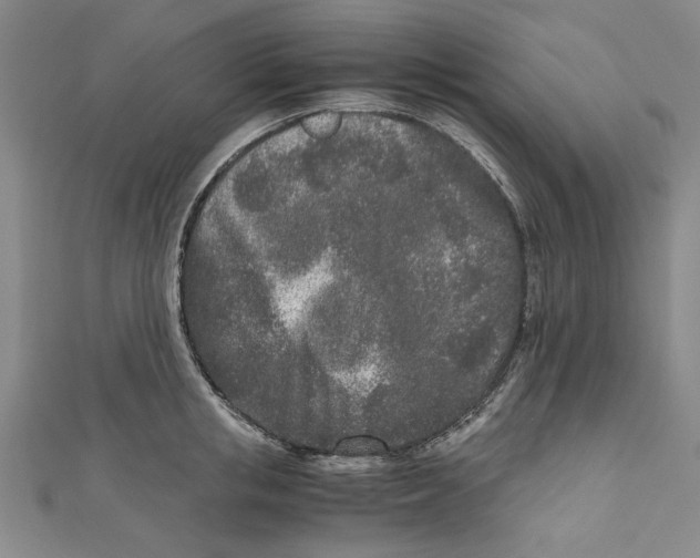 X0000110950853200907171627