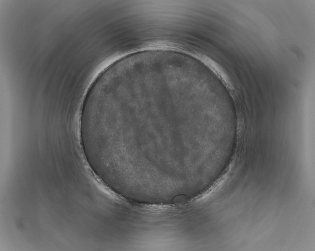 X0000110950854200907171627
