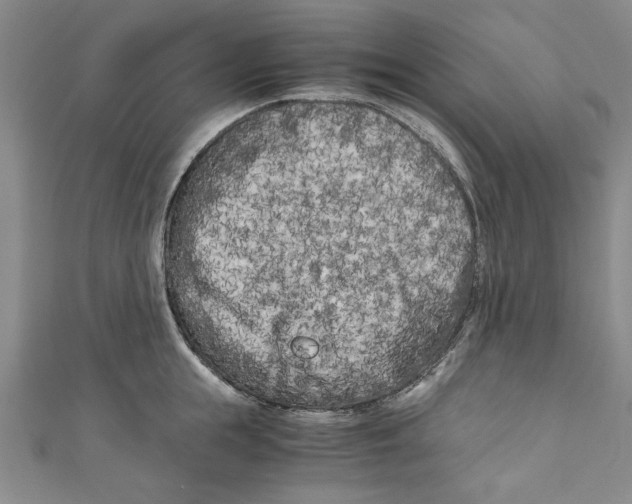 X0000110950855200907171627