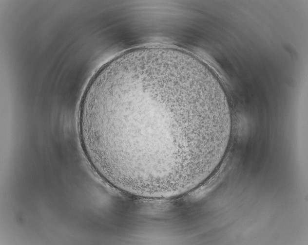 X0000110950856200907171627