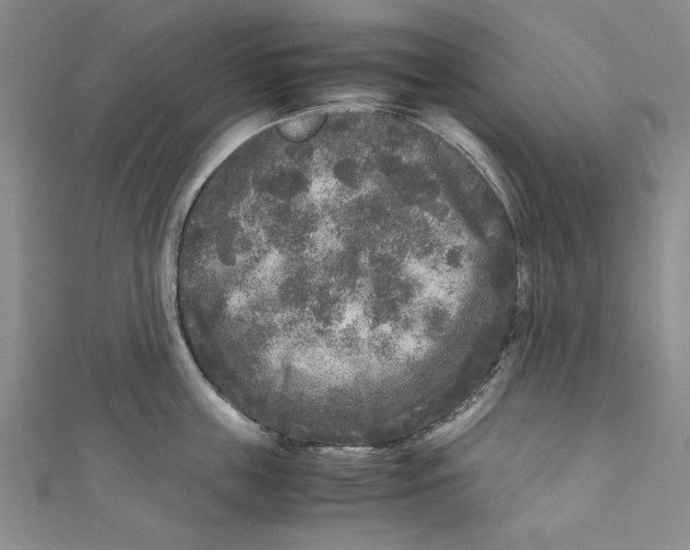 X0000110950859200907171627