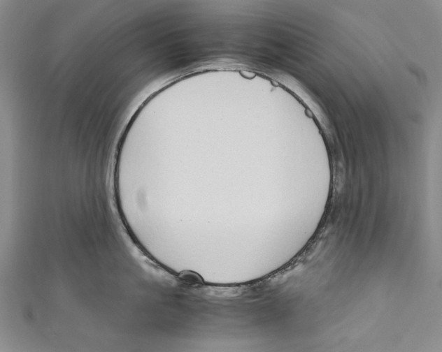 X0000110950861200907171627