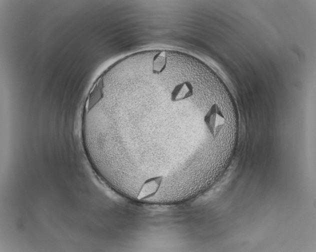 X0000110950862200907171627