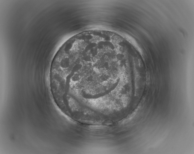 X0000110950863200907171627