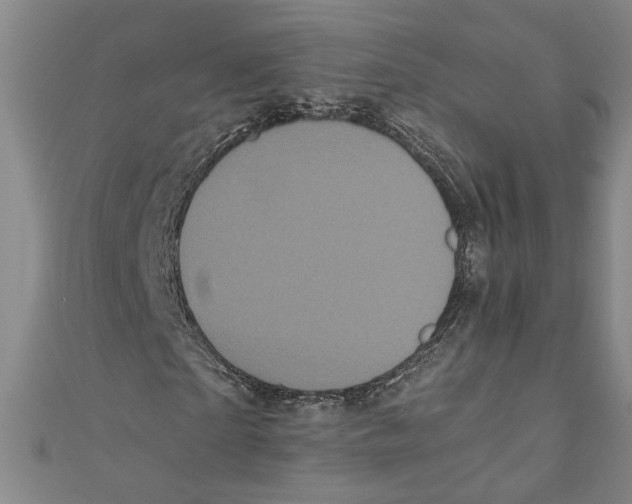 X0000110950865200907171626