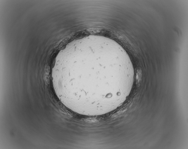 X0000110950867200907171626