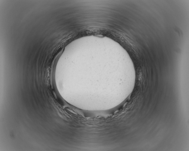 X0000110950868200907171626