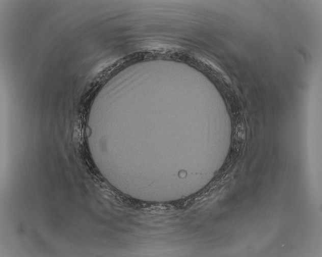 X0000110950869200907171626