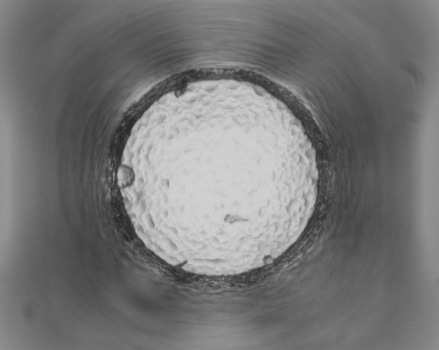 X0000110950871200907171626