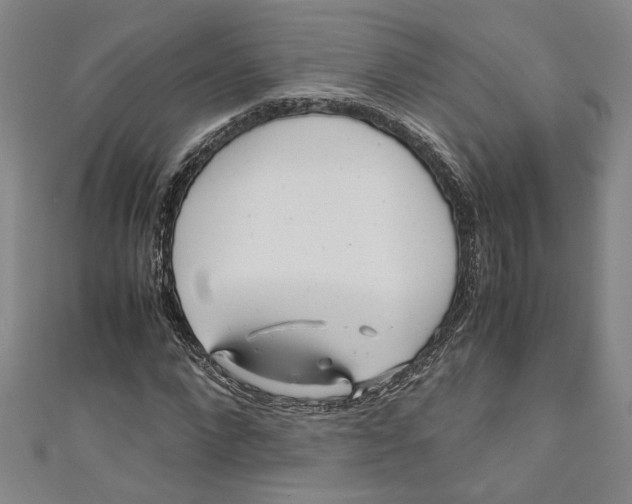 X0000110950872200907171626