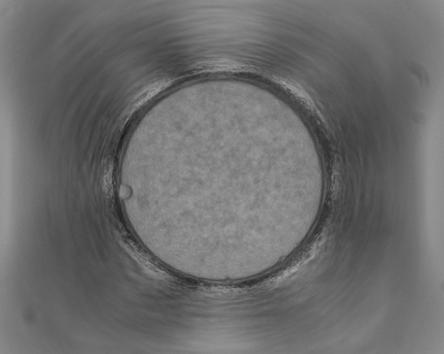 X0000110950873200907171626