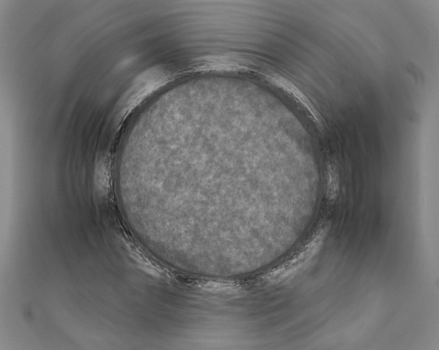 X0000110950874200907171626