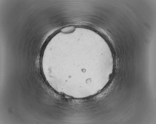 X0000110950875200907171626