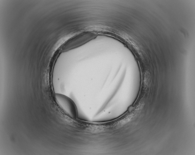 X0000110950877200907171626