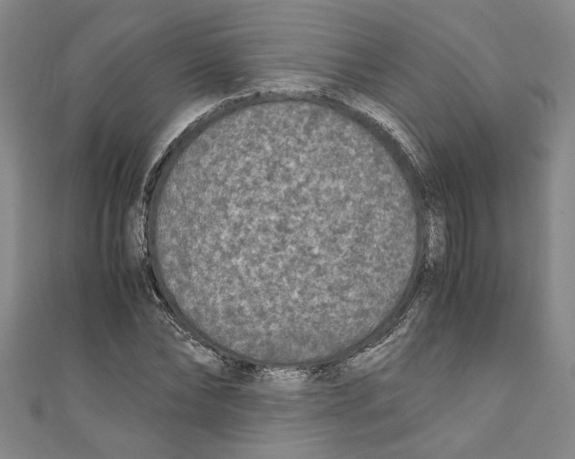 X0000110950878200907171626