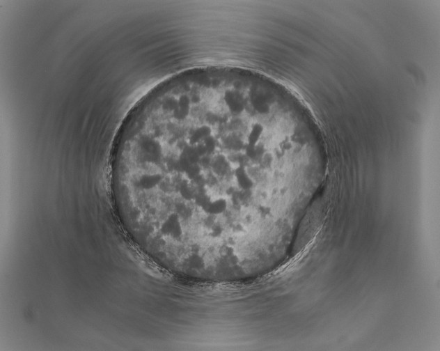 X0000110950879200907171626