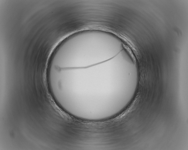 X0000110950880200907171626