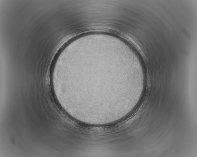 X0000110950883200907171626