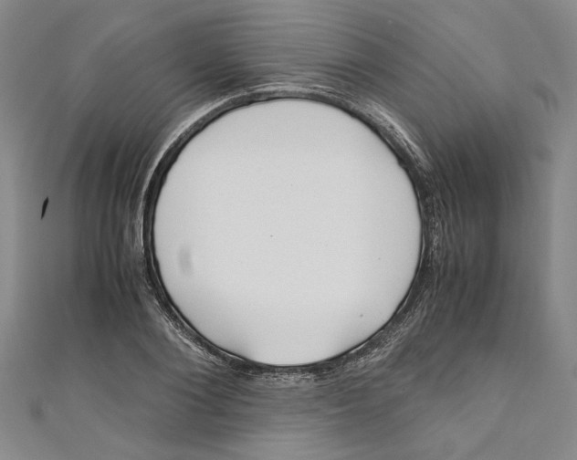 X0000110950884200907171626