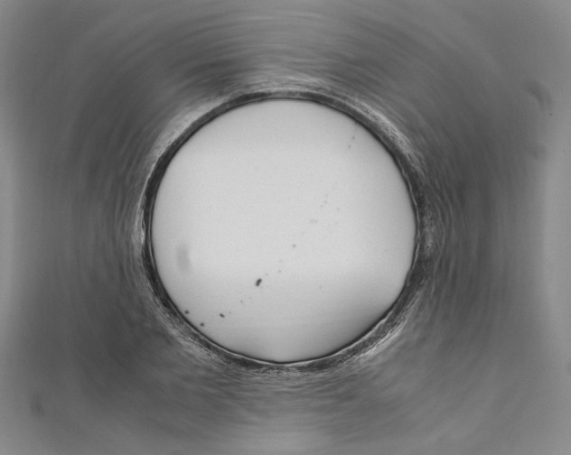 X0000110950885200907171626