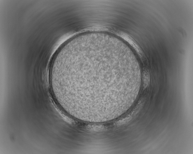 X0000110950886200907171626