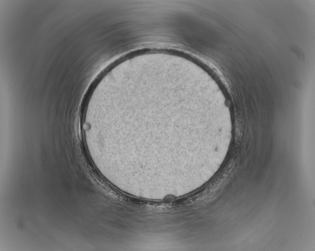 X0000110950887200907171626