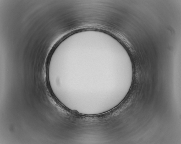X0000110950888200907171626
