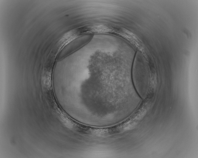 X0000110950889200907171626