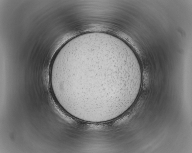 X0000110950890200907171626