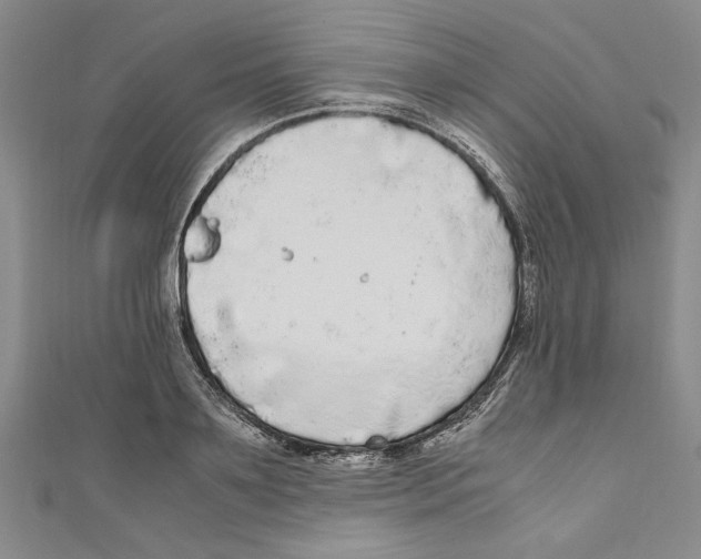 X0000110950891200907171626