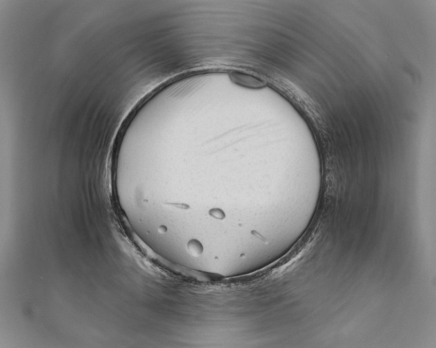 X0000110950892200907171626